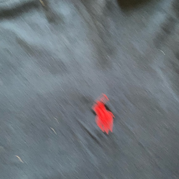 Ralph Lauren long sleeve Navy blue top. Size Largr - Picture 3 of 3